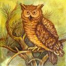 011 Eulen - 3-lagig - Atelier